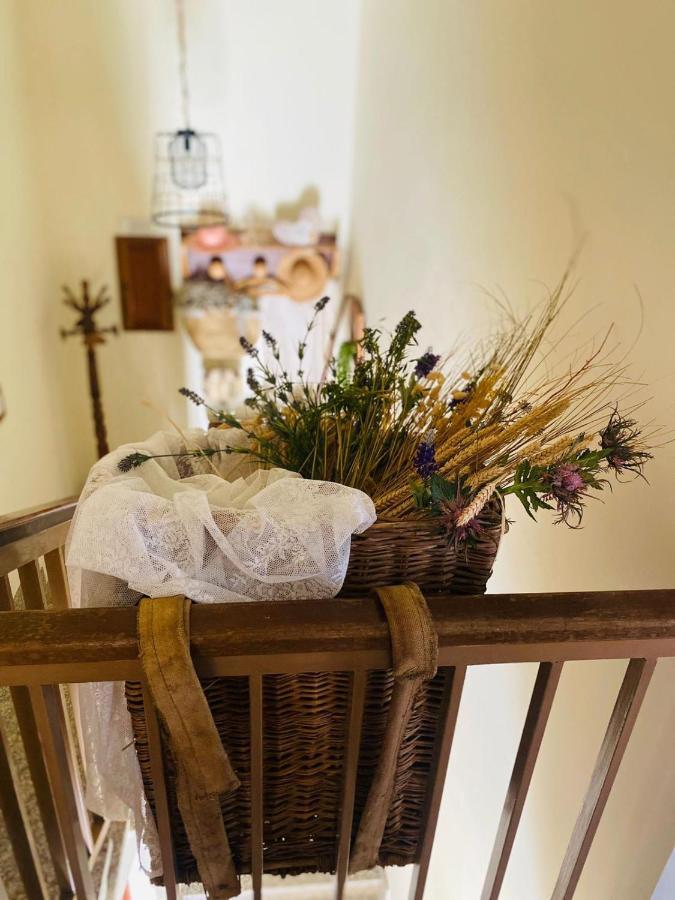 Quarto  Anticacascina Bed & Breakfast エクステリア 写真
